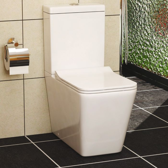 contemporary-toilets_cwc600s-elena-toilet.jpg